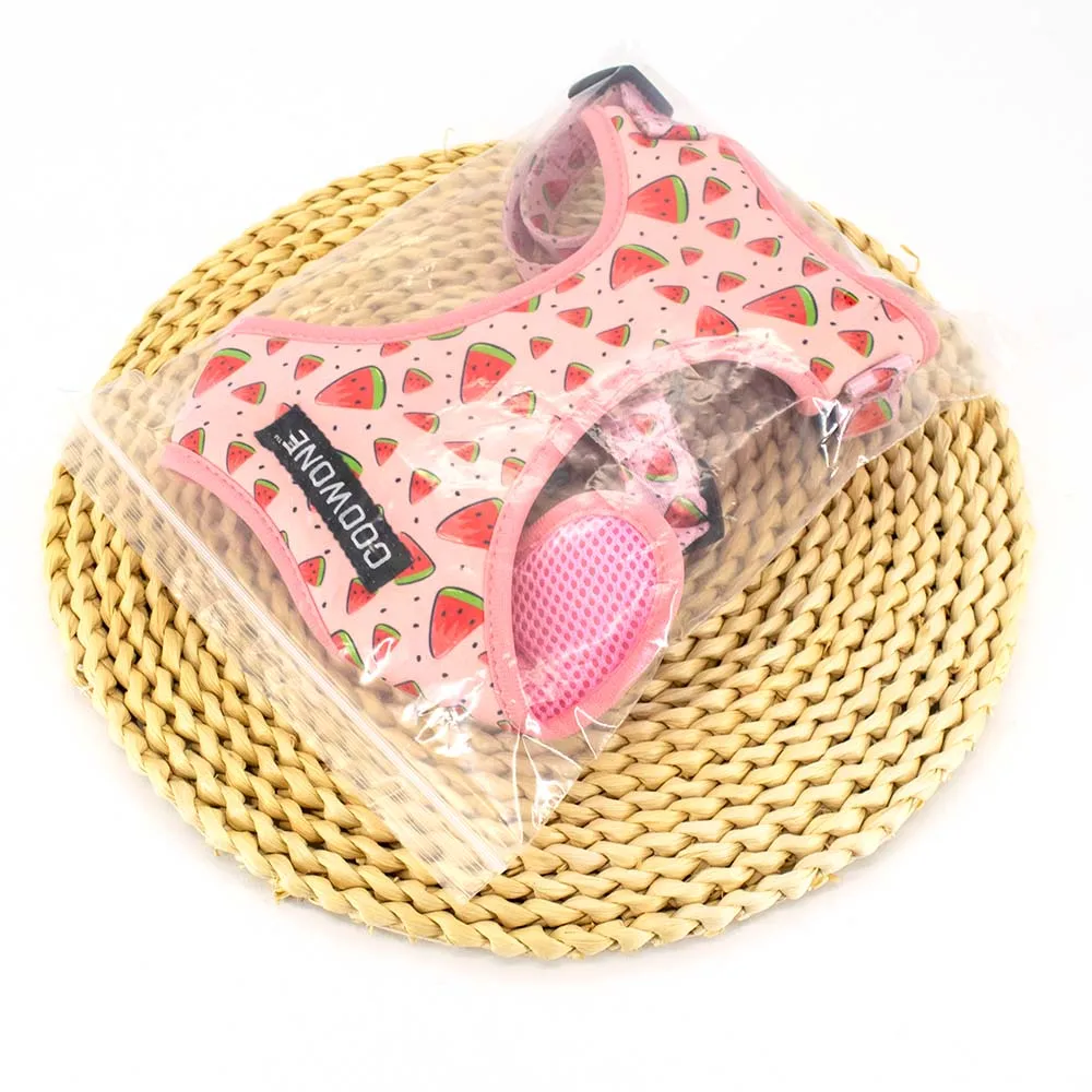 Popular Neoprene Dog Harness Set With Matching Dog Collar Leash Bow Tie