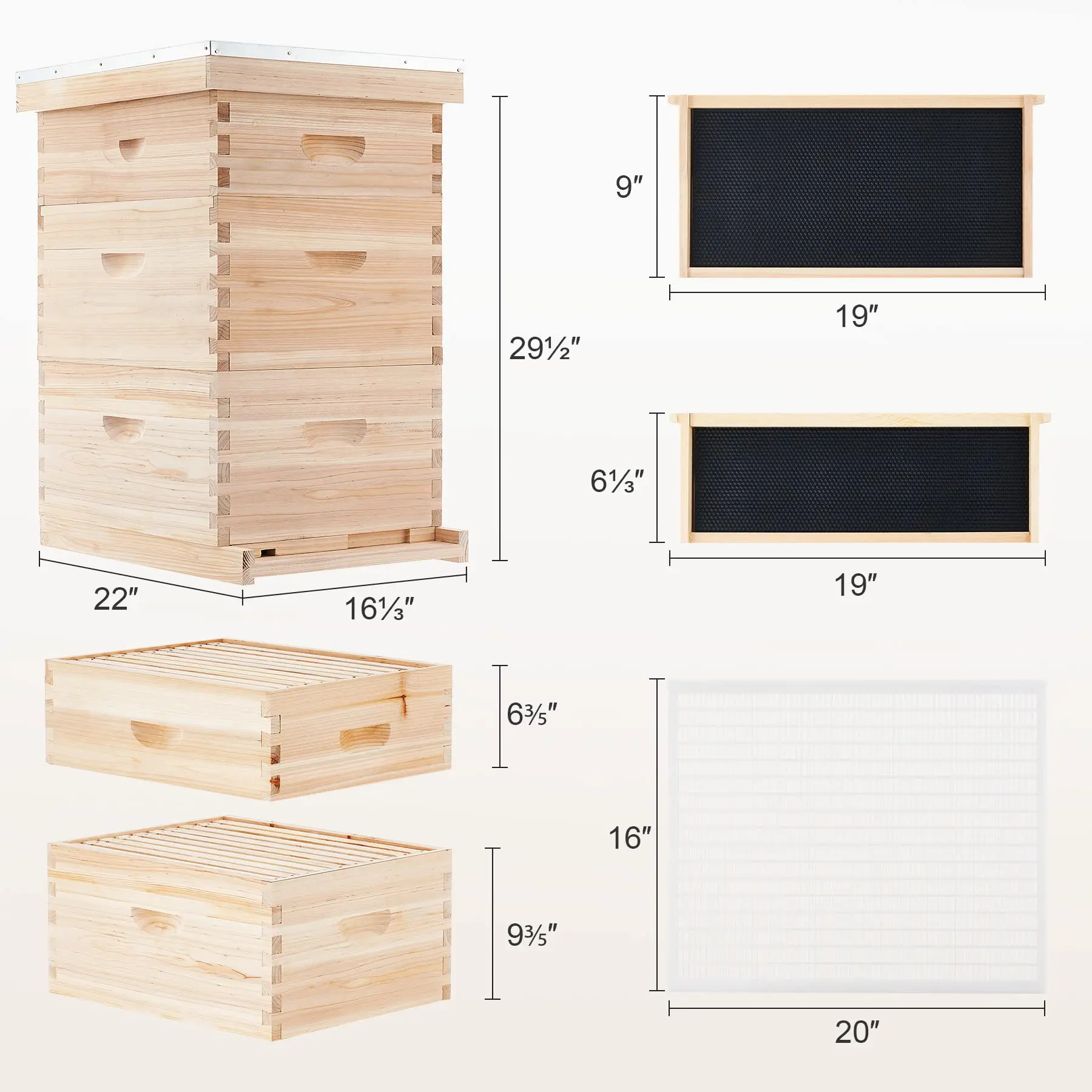 Transparent Bee Frame Beekeeping Transparent Bee Hive - Observation & Inspection