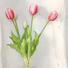 09-Rose Red