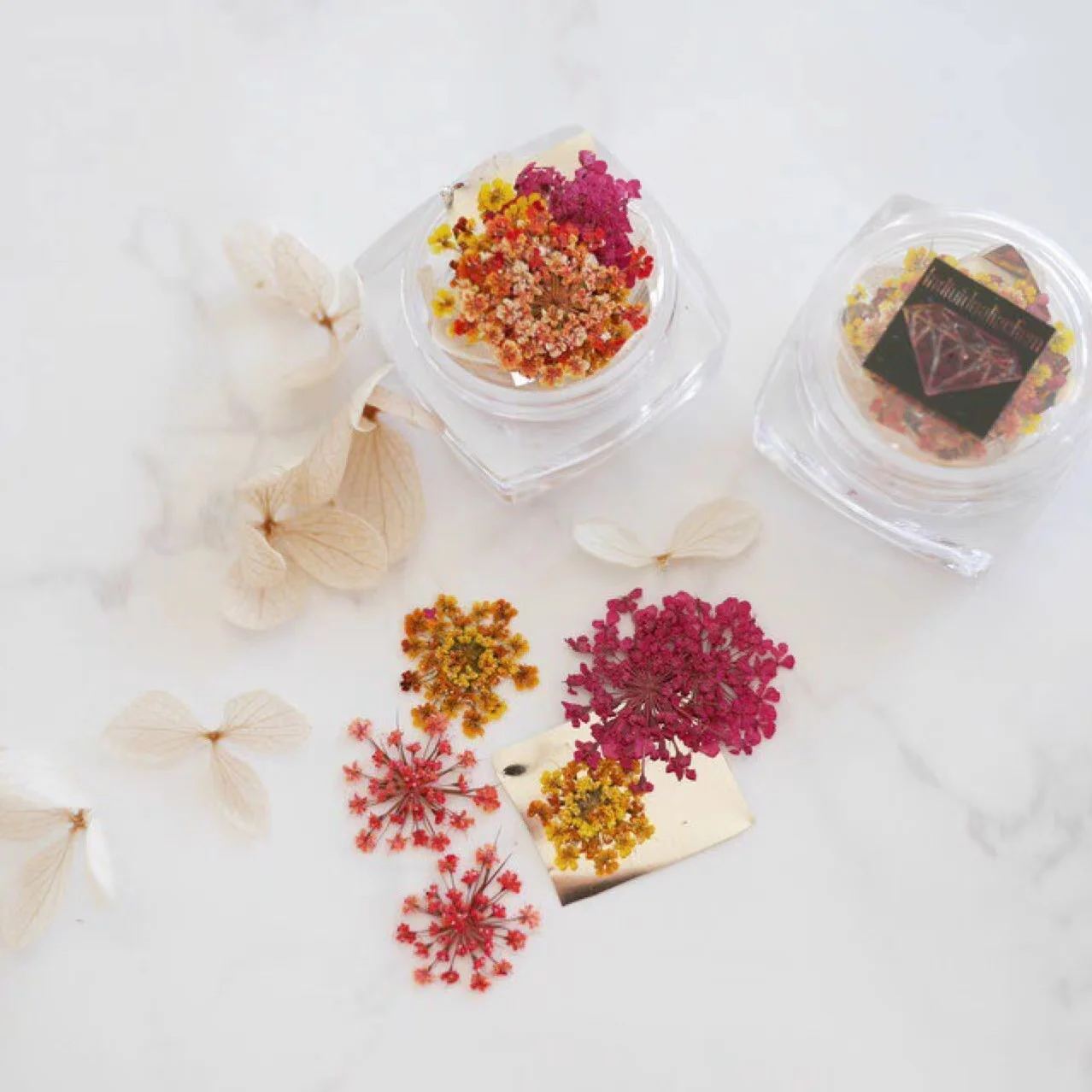 New Arrival Natural Lace Flower Hydrangea Dry Flower Nail Art Diy