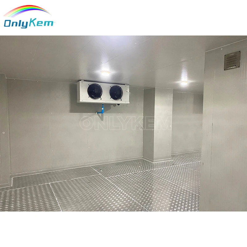 Walk in Freezer Cold Storage Butcher Shop Cold Room for Sausage Meat Processing Plant
