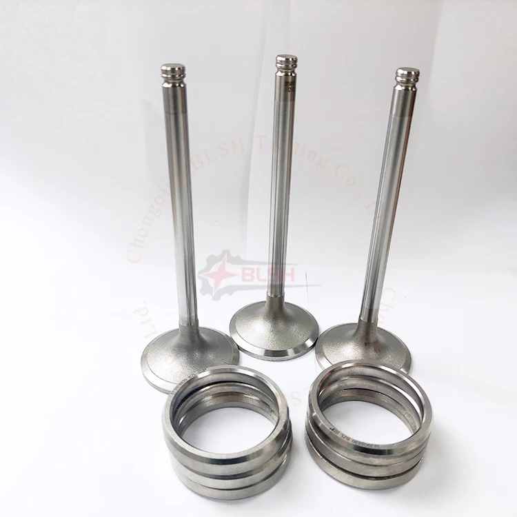BLSH Customized Various Intake Valves Exhaust Valves for MAN16/24 YANMAR S165L M200L N18 N330