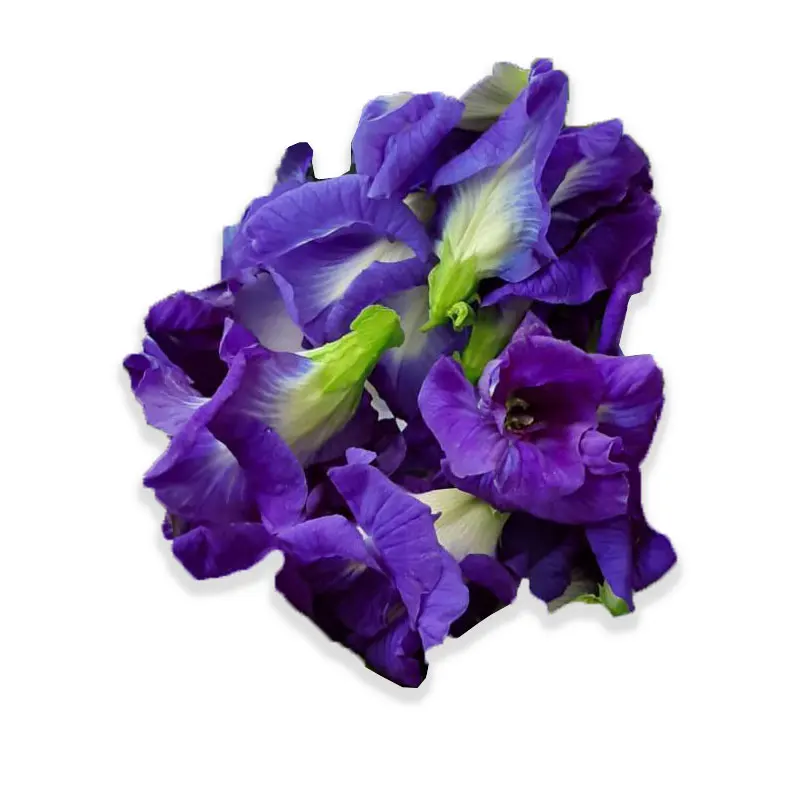 Butterfly Pea Flower - Organic