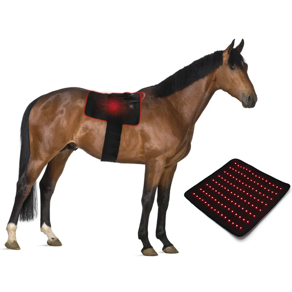 New Design Pain Relief Horse Massage Pad Led Red Light Near Infrared