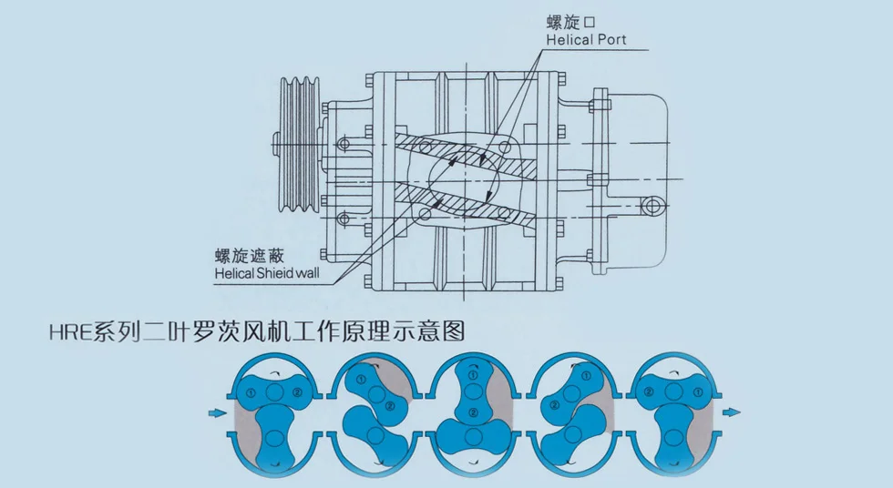 Roots Blower, FUTI, TWO, BLADES, HORIZONTAL - detail 6