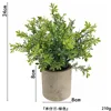 Milan powder-free ahe371-066