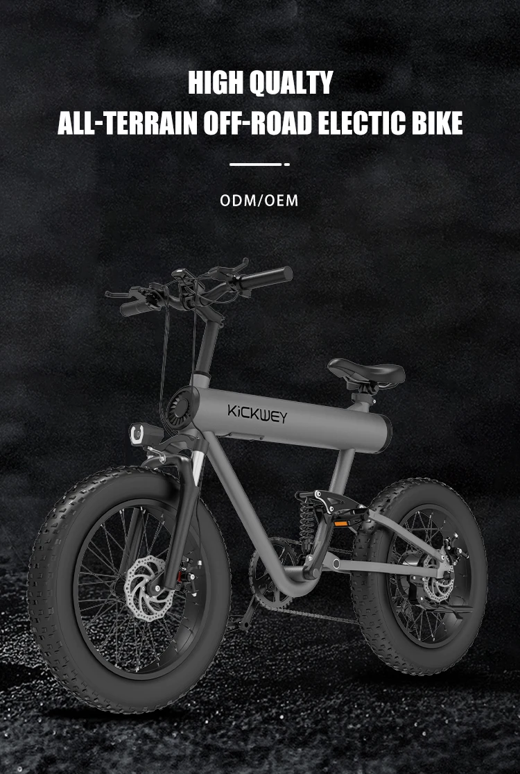 E Bikes For Adults Electrical Heavy Bike Electric Bike Buy E Bikes