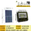 100W