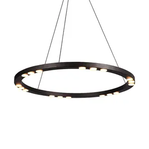 Modern Acrylic Black Iron Ring LED Adjustable Ceiling Light for Living Room