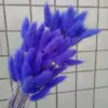 Viola chiaro