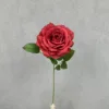 Rosso brillante