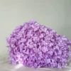 Taro Viola/Ramo