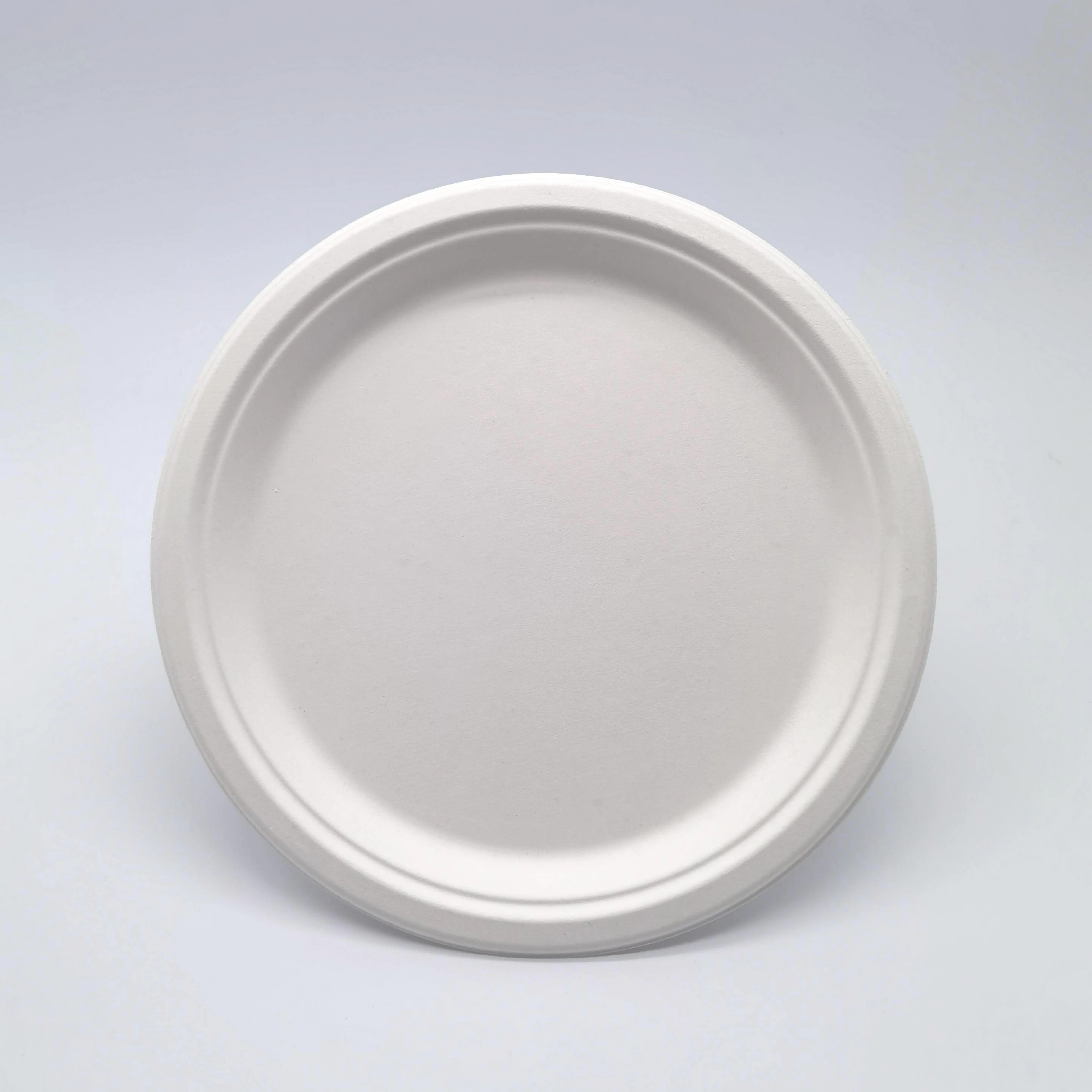 ECO-Friendly Extra Strength White Bagasse Cake Plates Biodegradable and Disposable