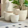 Antique White