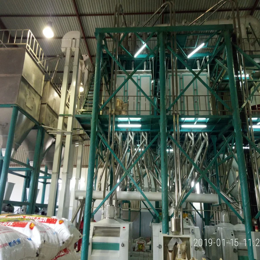 Maize Milling Machine Produce Maize Flour Do FUFU Sadza Ugali and Nshima in Zambia Kenya with Installation