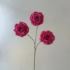 rosa 3 rosa rosso