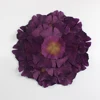 Splendido Viola