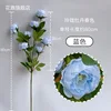 Peonía exquisita de 7 cabezas en primavera, azul