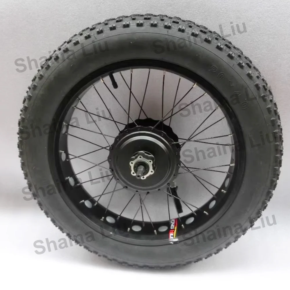 DGWZ 20 Inch Fat 20x4.0 Tire Brushless Geared 48V 52V 750W 1000W