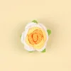 สีเหลืองไล่ระดับ-กลีบดอกกุหลาบกลมมน (มีฐานดอก)