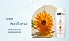 Briht-Girasol