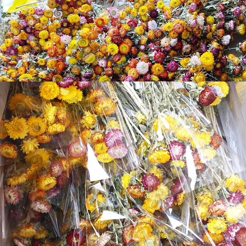20 Natural Dried Flower Daisy Wedding Flower Bouquet Dry Flower