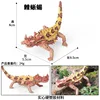 Lagarto espinoso M-3276, ¡un toque de color!