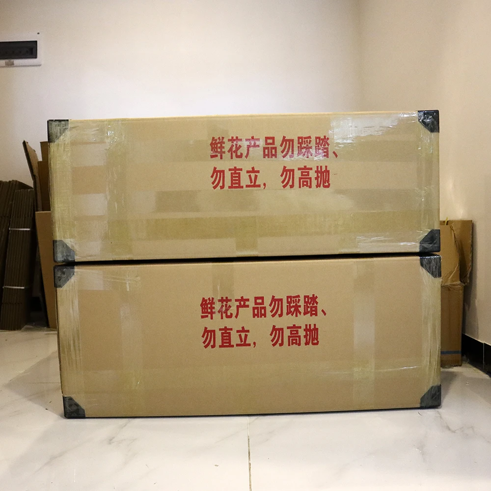 Rabbit Tail Dried Pampas Grass Dry Flowers Natural Real Grass White