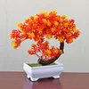 ดอกบัวพระจันทร์เสี้ยว สีแดงหม่น