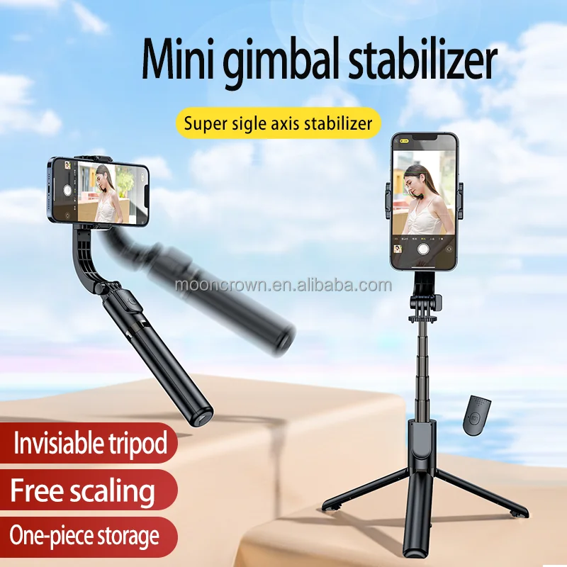 Perche / Trépied à selfie et vidéo Quad Lock