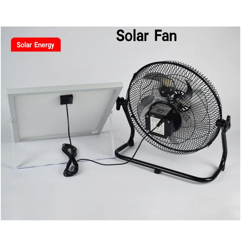 fan