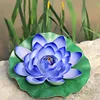 Blue-purple Eva lotus [Leaves approximately 28cm]