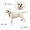 2256 labrador blanc 57g