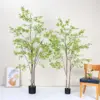 Green Maple Tree 10#