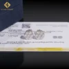 Certificat IGI en argent