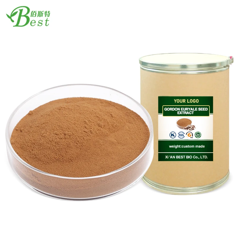 High Quality Euryale Ferox Seed /gordon Euryale Seed Extract 41201