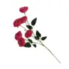 Rosa roja