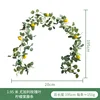 1.  95m Eucalipto Hoja de Rosa Vid de Limón A05499