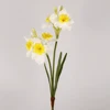 Bianco-2