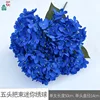 Five-headed Mini Hydrangea WZT Dark Blue