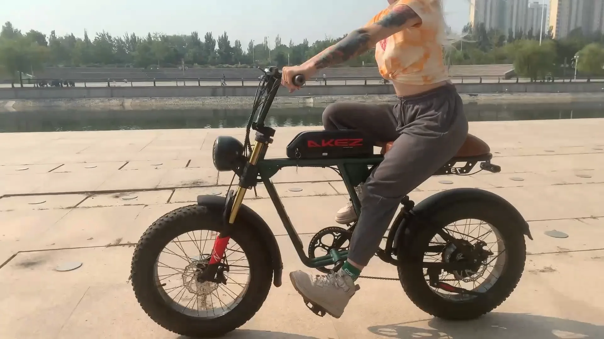 Us Warehouse Cheap Retro 20" Fat Tire Ebike Surron Electric Dirt Sport E Mountain Bike Super73