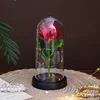Base en plastique rouge-11