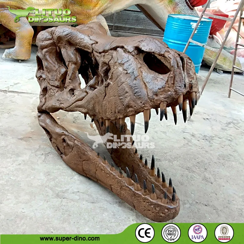 ティラノサウルス恐竜の頭蓋骨博物館の化石レプリカ| Alibaba.com