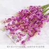 Purple Dancing Single Branch