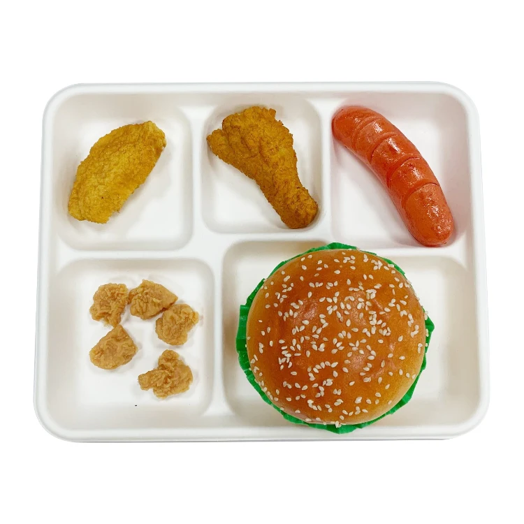 Biodegradable 5 Compartments Meal Disposable Sugarcane Bagasse