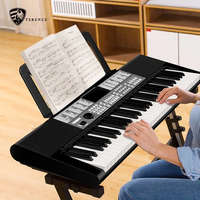 Terence SP611 Chinese Piano - 61 Key Educational Keyboard