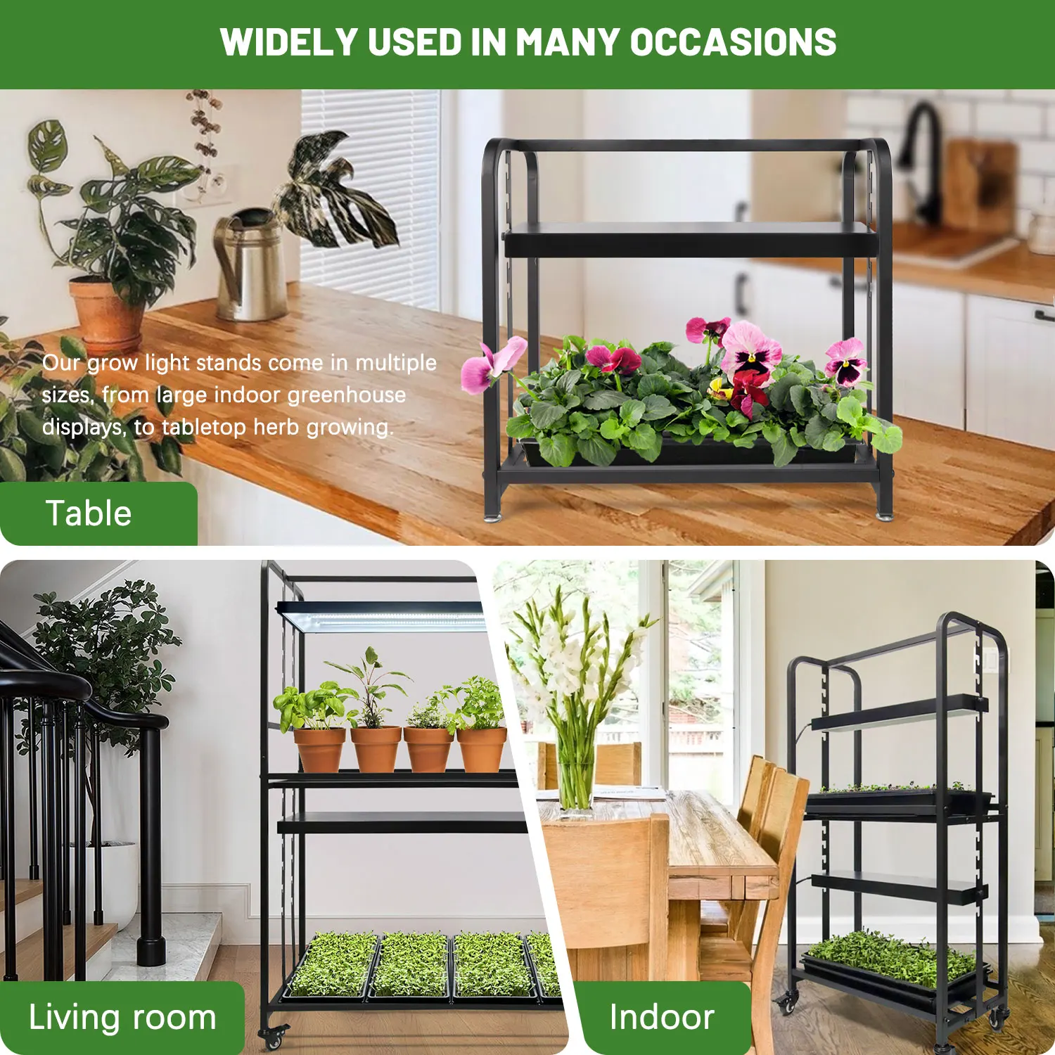 Plant Grow Stand