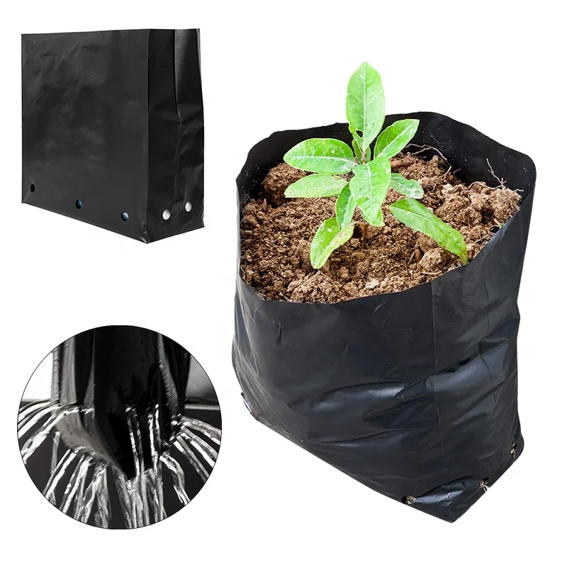 Plastic Pe Black Plant Nursery Poly Bag Perforated Agricultural Seed