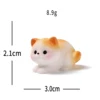 Observing Cat