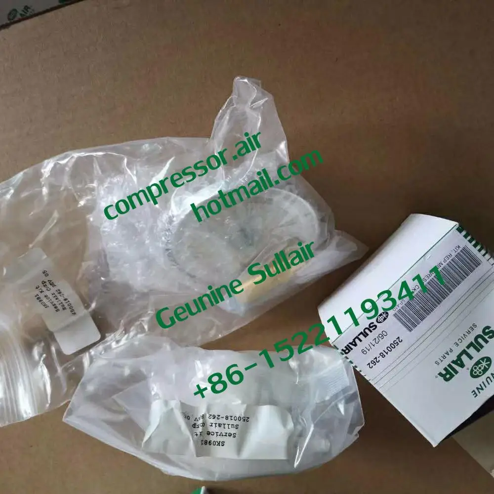 Sullair 250018-262 Minimum Pressure Check Valve Repair Kit